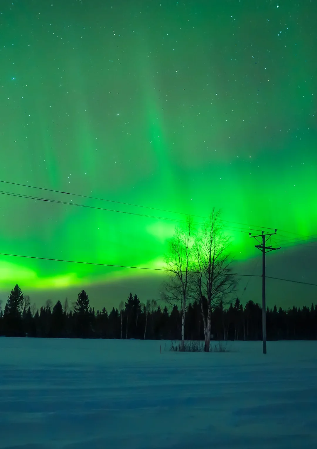 Northern lights 1