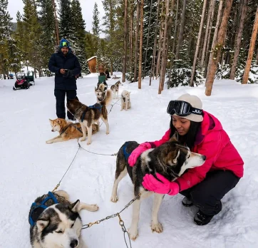 Dog sledding in Arctic Norway-2