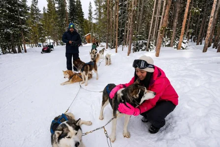 Dog sledding in Arctic Norway-2