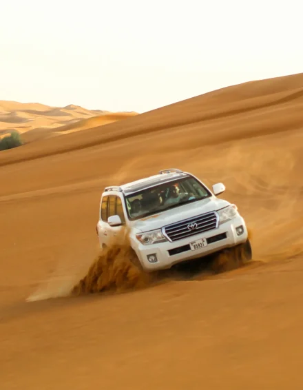 Dubai-Desert Safari 4