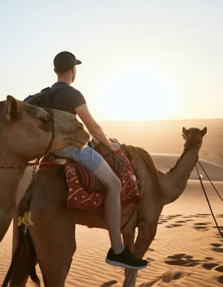 Dubai desert safari and camel ride