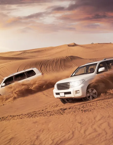 Dubnai desert dune bashing morning