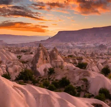 Red Rose Valley 1