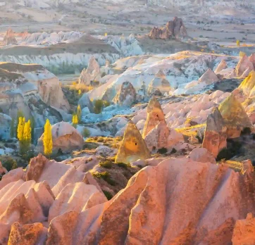 Red Rose Valley 2