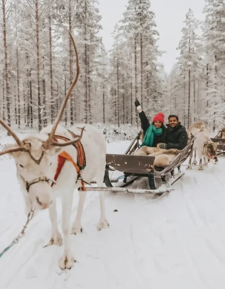 Reindeer rides 3