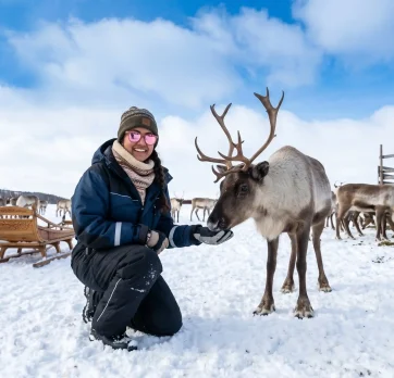 Sami Reindeer Camp-1