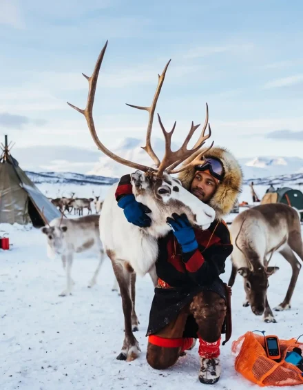 Sami Reindeer Camp