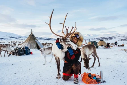 Sami Reindeer Camp